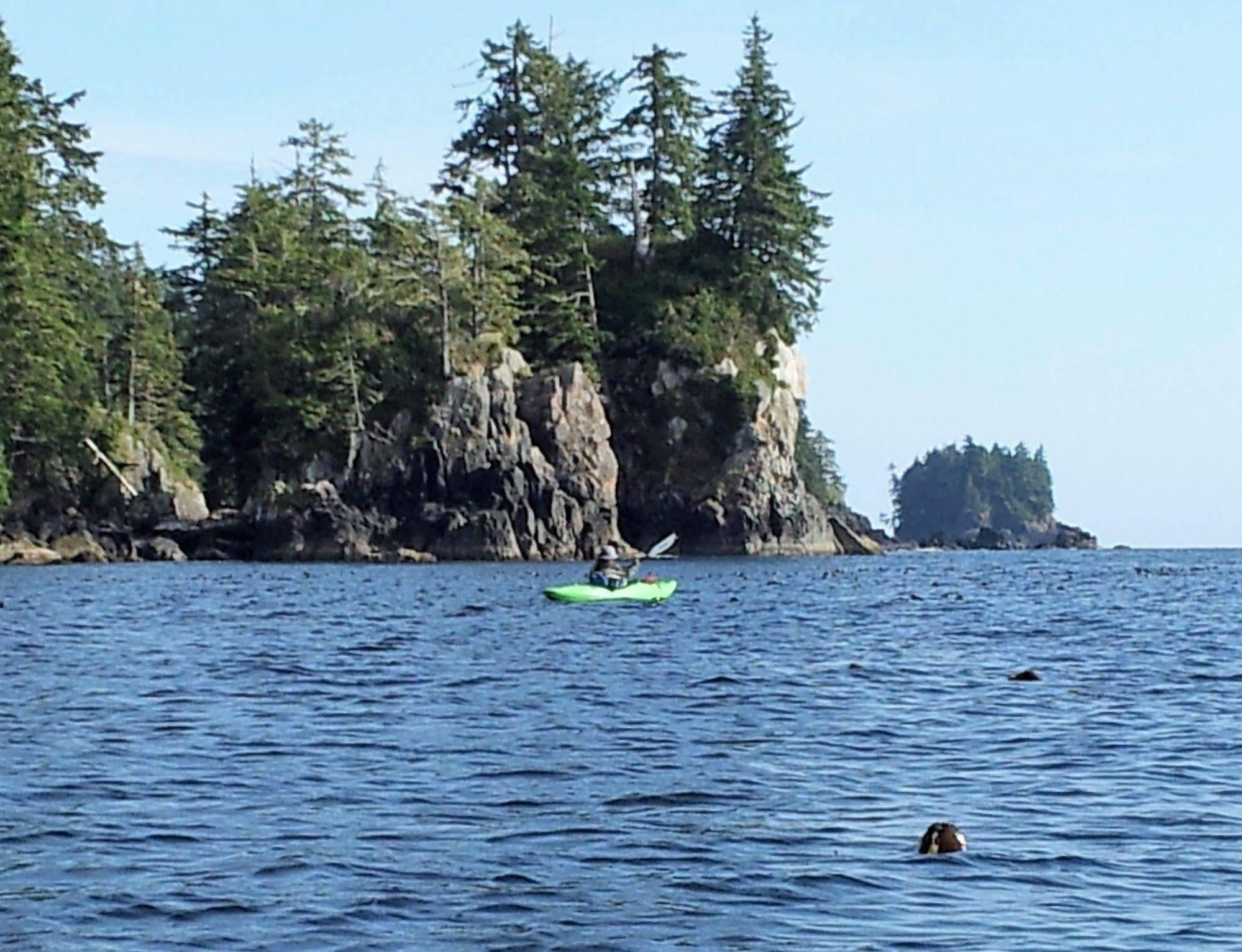 Pacific Drift Inn Ucluelet Dış mekan fotoğraf