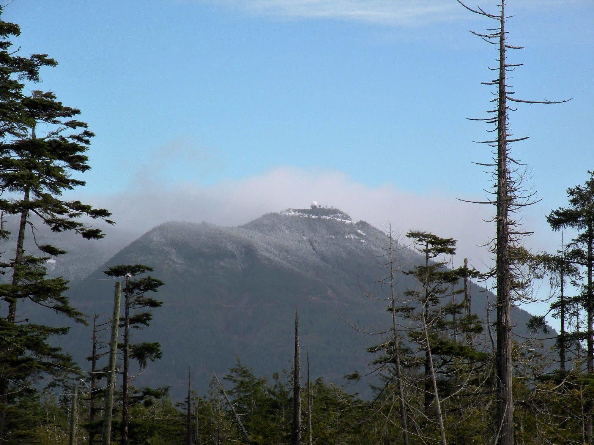 Pacific Drift Inn Ucluelet Dış mekan fotoğraf