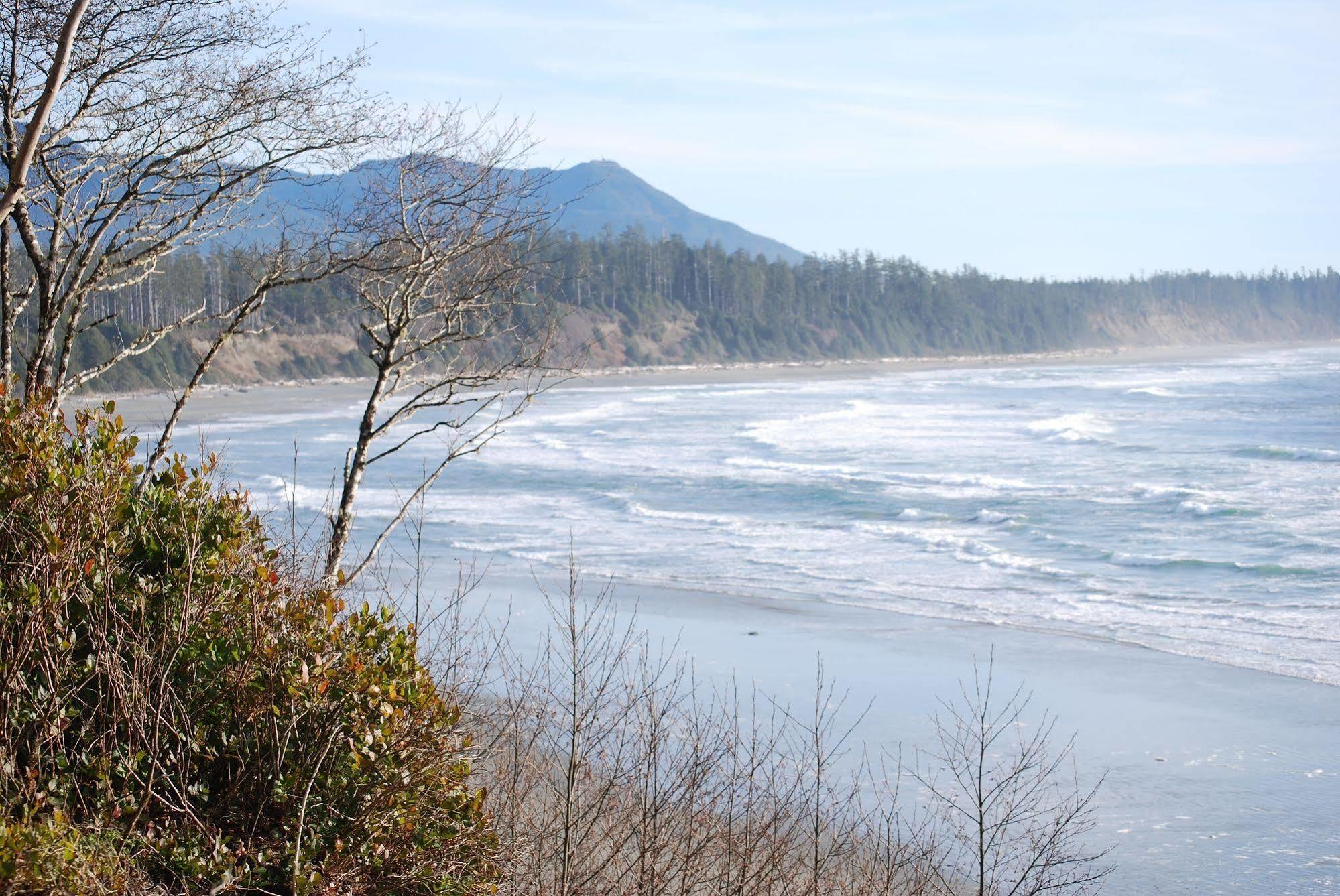 Pacific Drift Inn Ucluelet Dış mekan fotoğraf